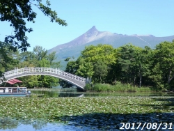 大沼公園と駒ケ岳1