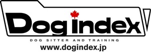 logo dogindex