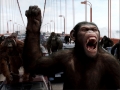 Rise of the Planet of the Apes004
