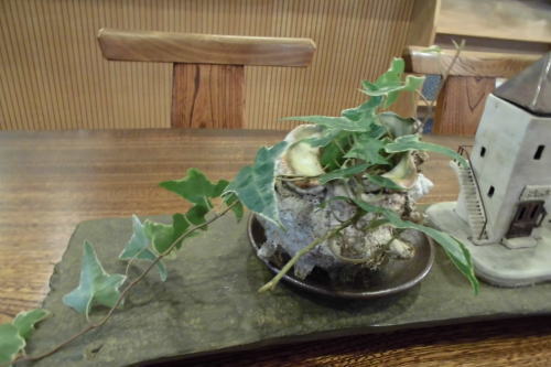伊豆高原　ギャラリー　ショップ　ギャラリーぶなの木　　さざえの花器