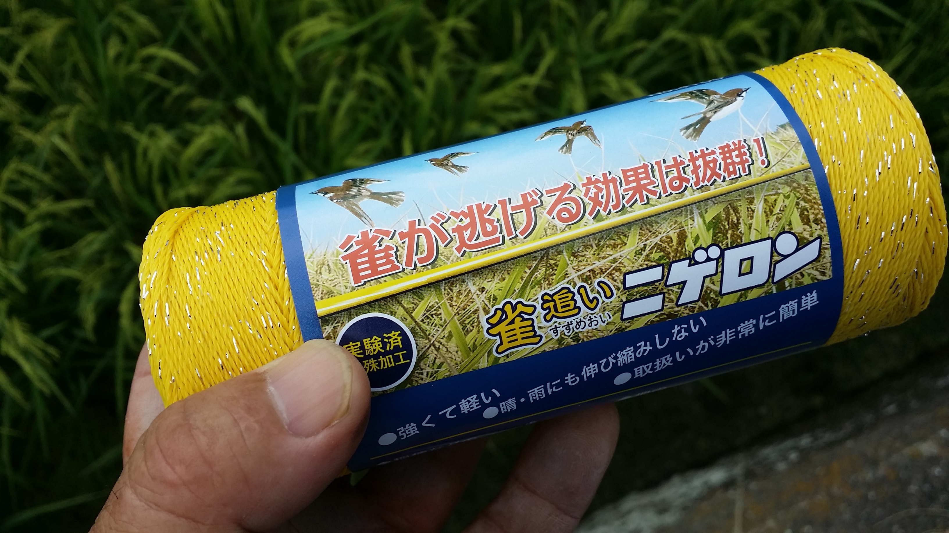 田んぼのスズメ対策 - 徳島でへの字稲作 コシヒカリ