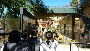 動物園２