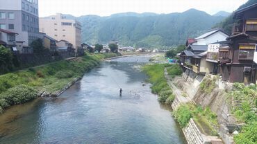 吉田川の鮎釣り