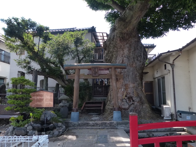 槻井泉神社１