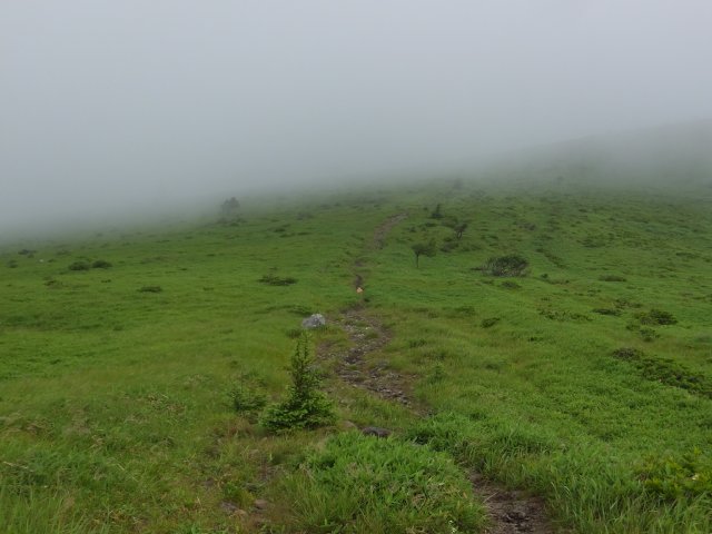 霧ヶ峰高原　２０１７．７．２１ 051