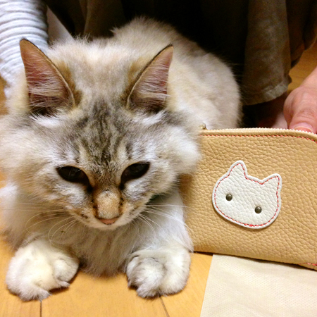 L字ファスナーミニ財布：ネコ