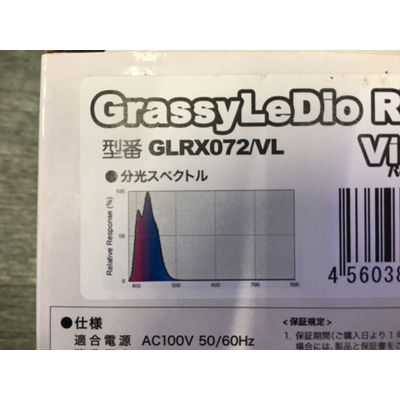 GL072violet02.jpg