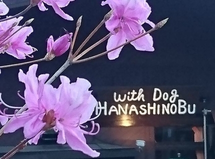 20170423-60-HANASHINONBU看板.JPG