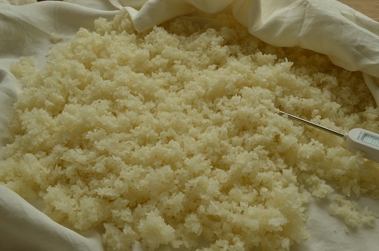 夏の米麹作り（白米１キロ使用）_2