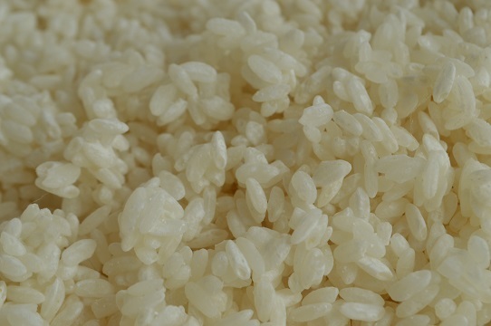 夏の米麹作り（白米１キロ使用）_5