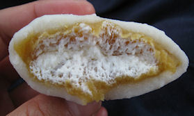 鹿児島県産安納芋の純生クリーム大福