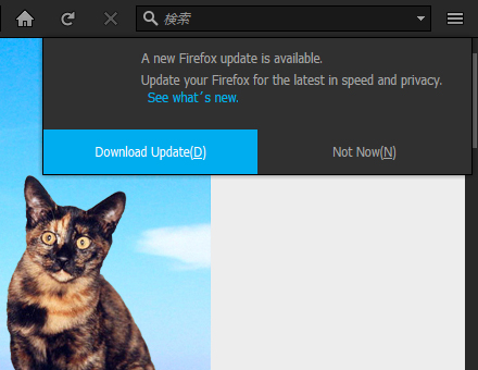 Mozilla Firefox 55.0 Beta 8