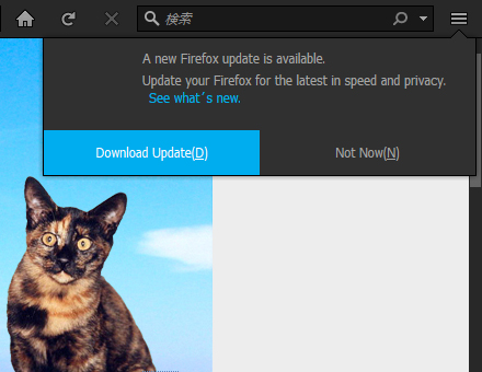 Mozilla Firefox 55.0 Beta 10