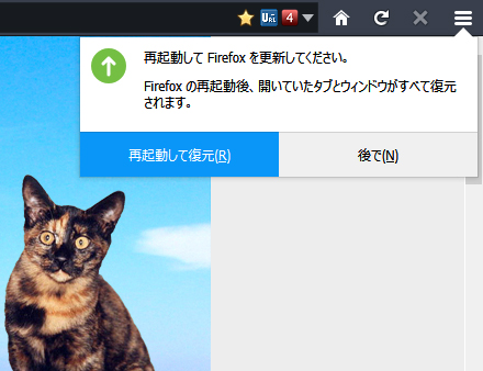 Mozilla Firefox 56.0 RC 1