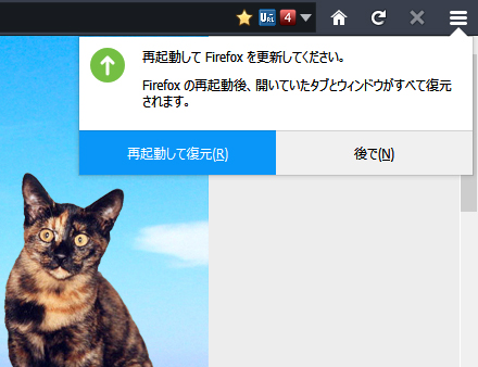 Mozilla Firefox 56.0 RC 2