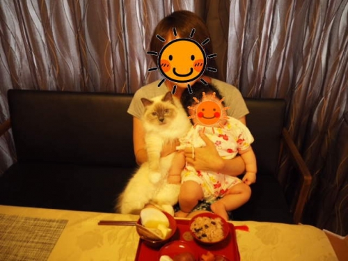 幸運を運ぶ猫☆バーマン　～ コウノトリ モモちゃん ～