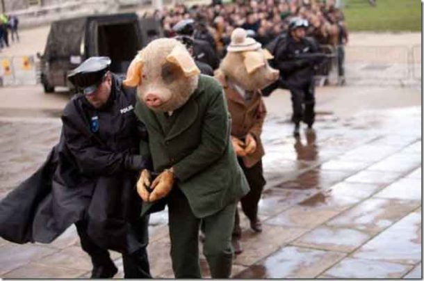 逮捕される豚
