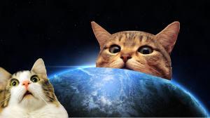 地球を支配する猫